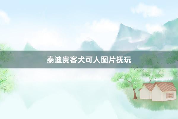泰迪贵客犬可人图片抚玩