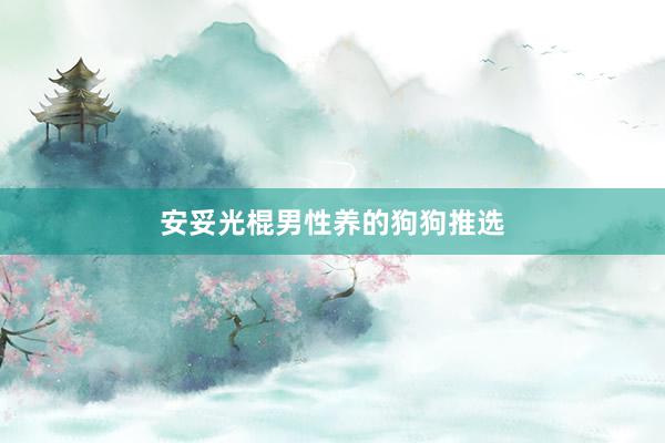 安妥光棍男性养的狗狗推选