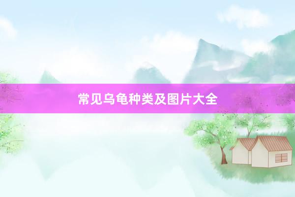 常见乌龟种类及图片大全